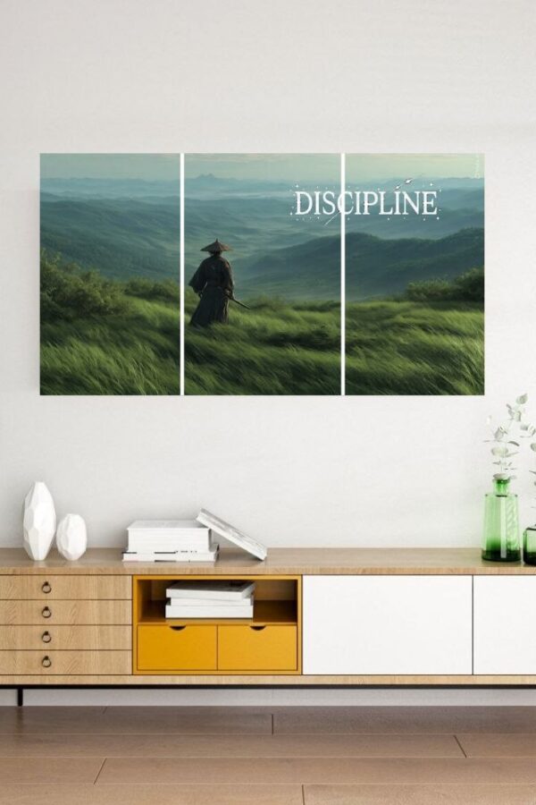Discipline | Motivation |  3-Pieces Split Posters